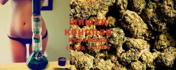кокс Богородицк