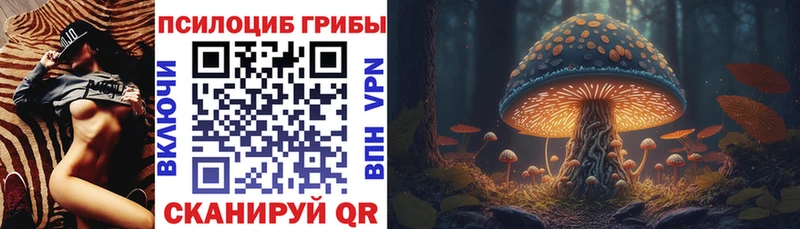ОМГ ОМГ рабочий сайт  Кораблино  Псилоцибиновые грибы Psilocybine cubensis  наркошоп 